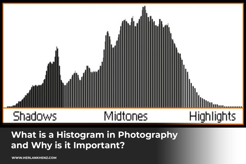 ¿Qué es un histograma en fotografía y por qué es importante?