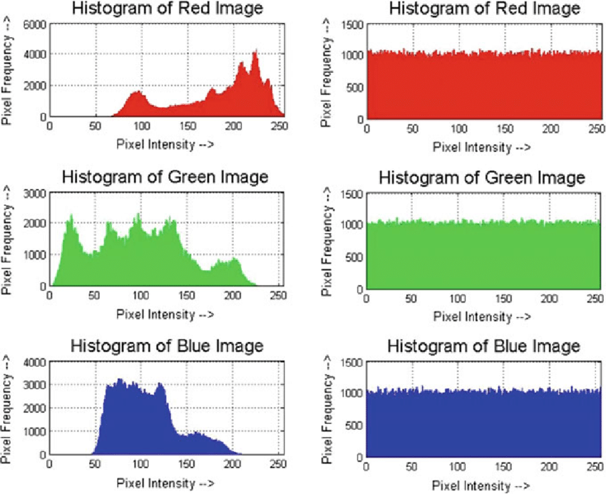 Histogram section on the camera